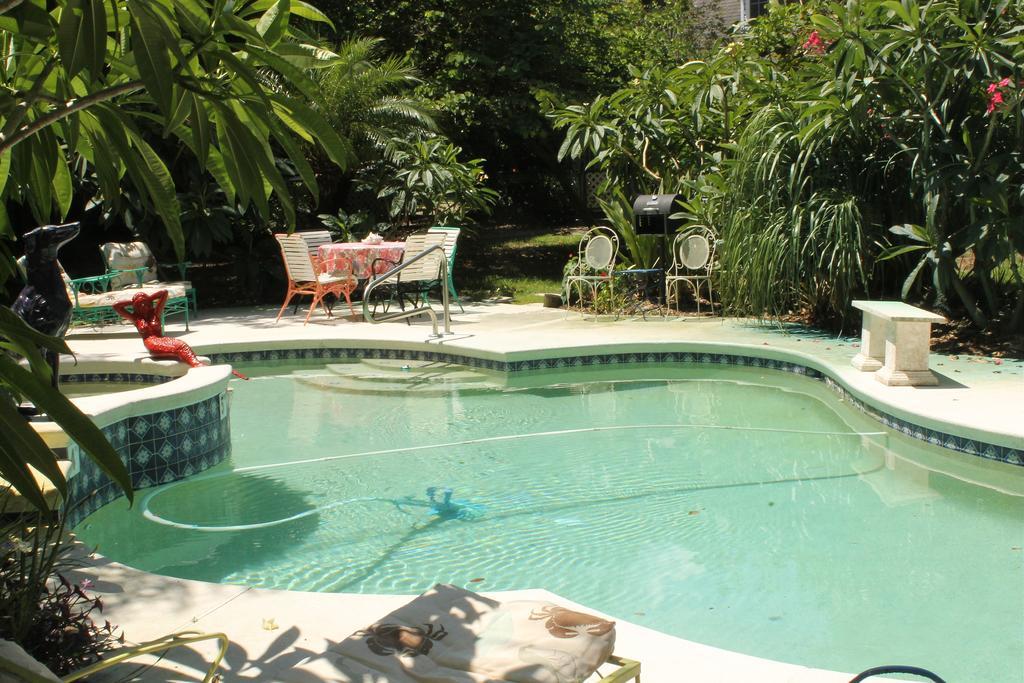 Heron Cay Lakeview Bed & Breakfast Mount Dora Exterior foto